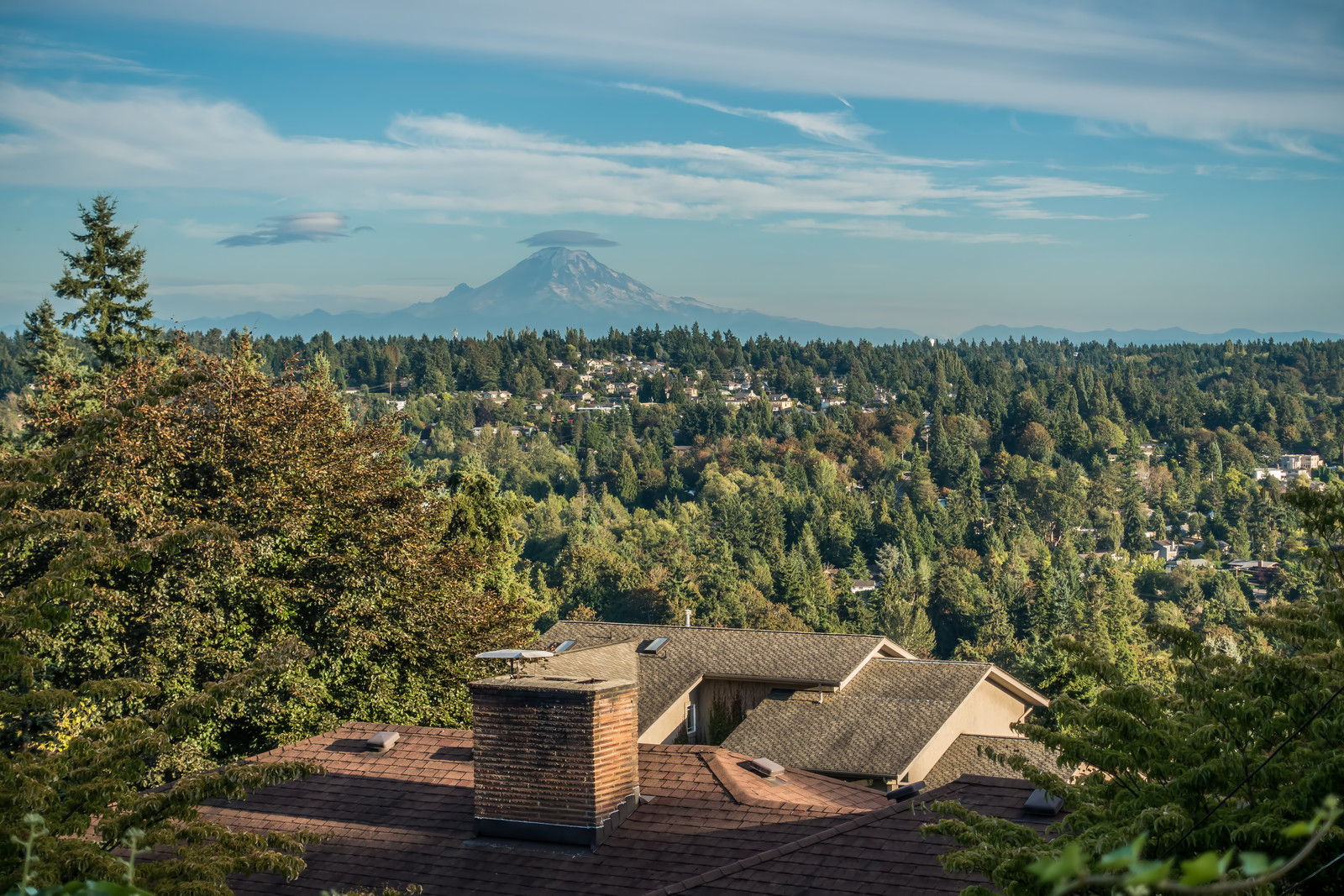 Stress-free,fast, and simple moves for families and businesses in Kent, WA