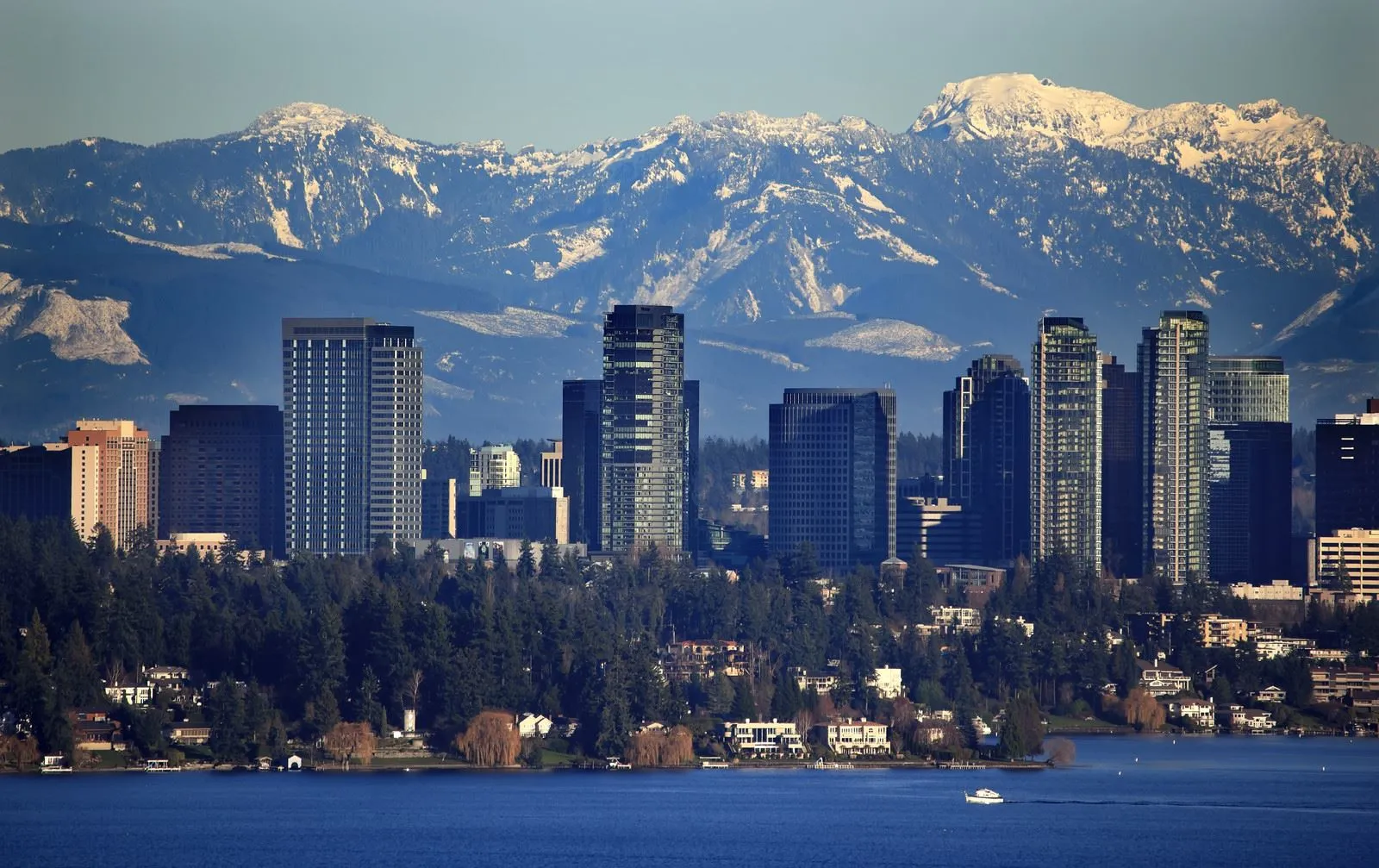 Simple, stress-free, and fast moves for families and businesses in Bellevue, WA